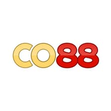 Profile picture for CO88