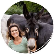 Profile picture for Steffi Buchholz