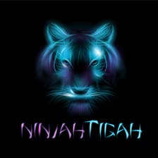 Profile picture for Ninjah Tigah