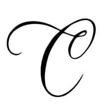 Profile picture for The Confidence Concept