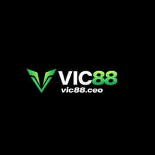 Profile picture for VIC88