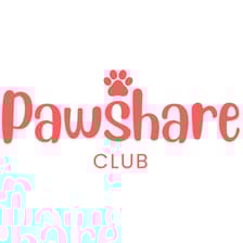 Profile picture for Ally Kim