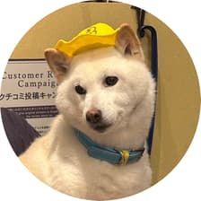 Profile picture for Aki