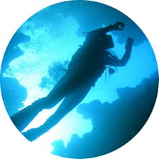 Profile picture for Shashvat Mohane