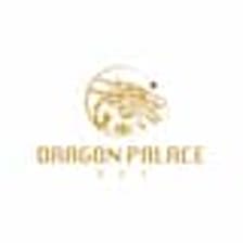 Profile picture for Dragon Palace Đồng Khởi
