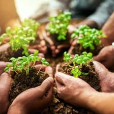 Profile picture for Wendy Chin