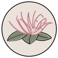 Profile picture for Vulnera Belgium