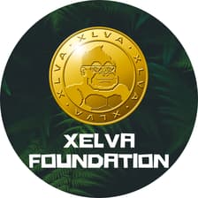 Profile picture for XELVA FOUNDATION