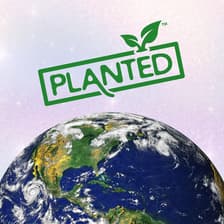 Profile picture for Planted Society