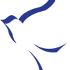 Profile picture for Noah Project, Inc.