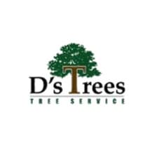Profile picture for D's Trees