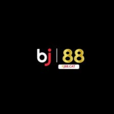 Profile picture for BJ88