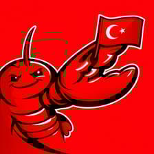 Profile picture for OpenClaw Turkiye 🦞