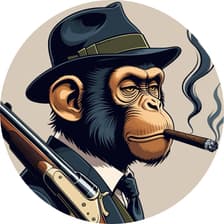 Profile picture for Rasil Abro