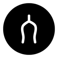 Profile picture for Wishbone Advisory