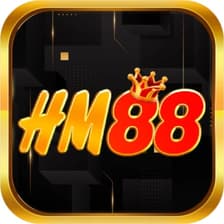 Profile picture for HM88