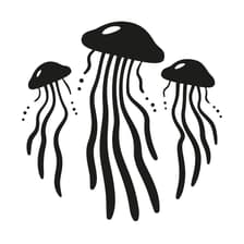 Profile picture for Meduse Collettivo Artistico