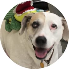 Profile picture for Montana