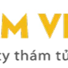 Profile picture for Thám Tử Tâm Việt