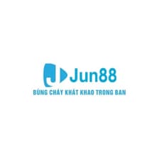 Profile picture for Jun88ld com