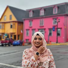 Profile picture for Nafisa Mahbub