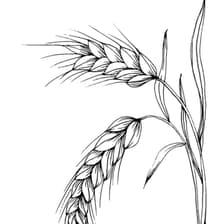 Profile picture for Moissonnons Ensemble