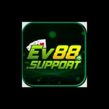 Profile picture for Loi Vu