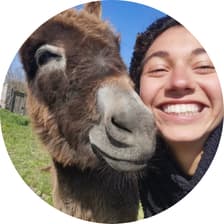 Profile picture for Shams