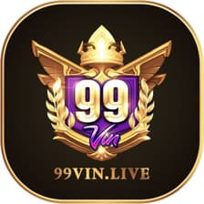 Profile picture for 99Vin .