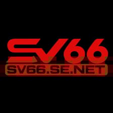 Profile picture for SV66 SE