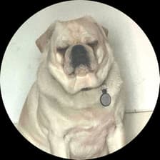 Profile picture for Christa Lei