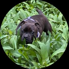 Profile picture for Jamie Trimmer