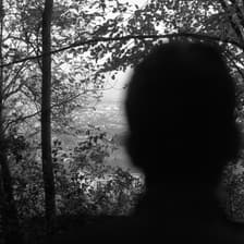 Profile picture for Adel | Shelters