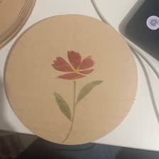 Profile picture for Avital Knoller