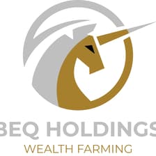 Profile picture for BEQ HOLDINGS