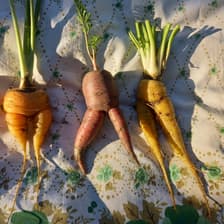 Profile picture for Grit Leutzsch