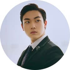 Profile picture for Magnus @CertiK