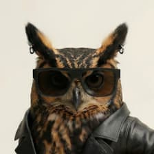 Profile picture for Shaharyar Ahmad