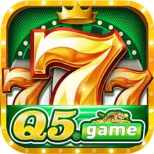 Profile picture for q5 game