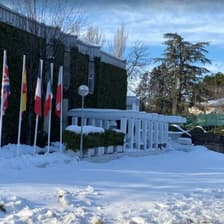 Profile picture for DANIELA PAVLOVA