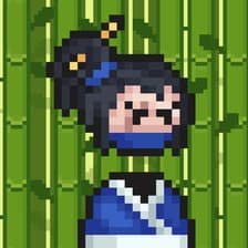 Profile picture for Jane Wang I Stellar