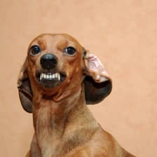 Profile picture for Quan Pratt