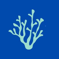 Profile picture for Caribbean Venture Collective
