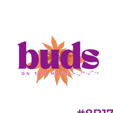 Profile picture for Tamarah Zimek