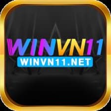 Profile picture for winvn11 net