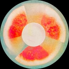 Profile picture for Connie L