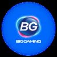 Profile picture for BG真人 官方网站