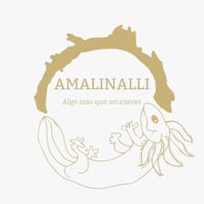 Profile picture for Amalinalli Xochimilco