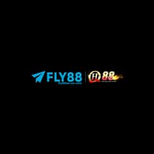 Profile picture for Fly88ae us com