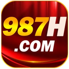 Profile picture for 987h org